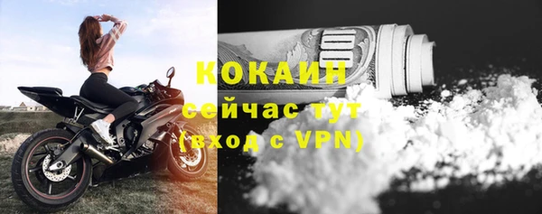 бошки Богданович