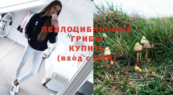 ALPHA PVP Белокуриха