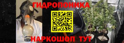 кокс Можга
