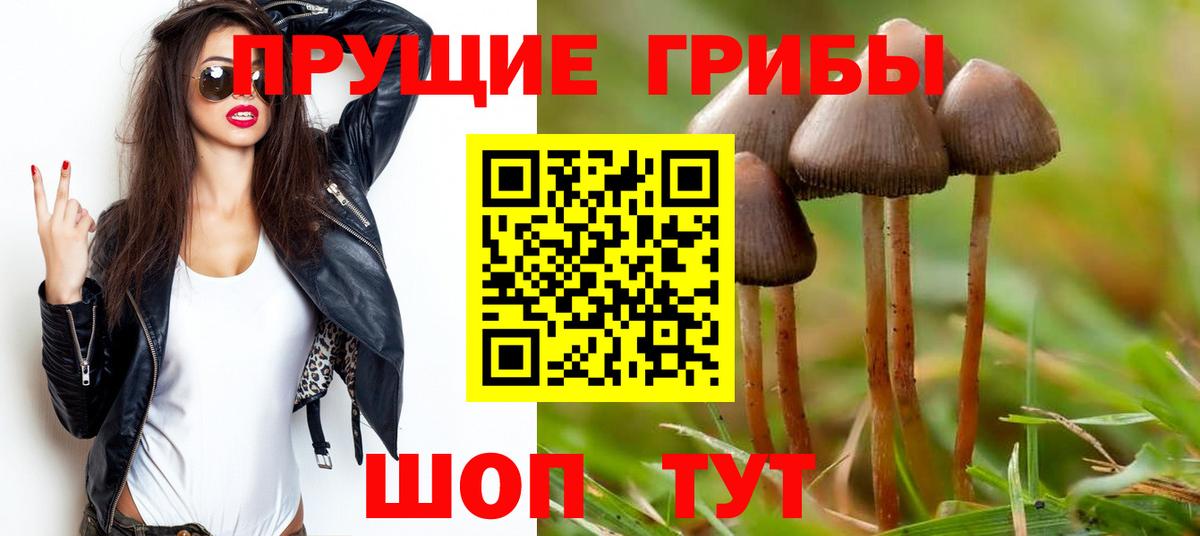 Псилоцибиновые грибы Cubensis Великий Устюг